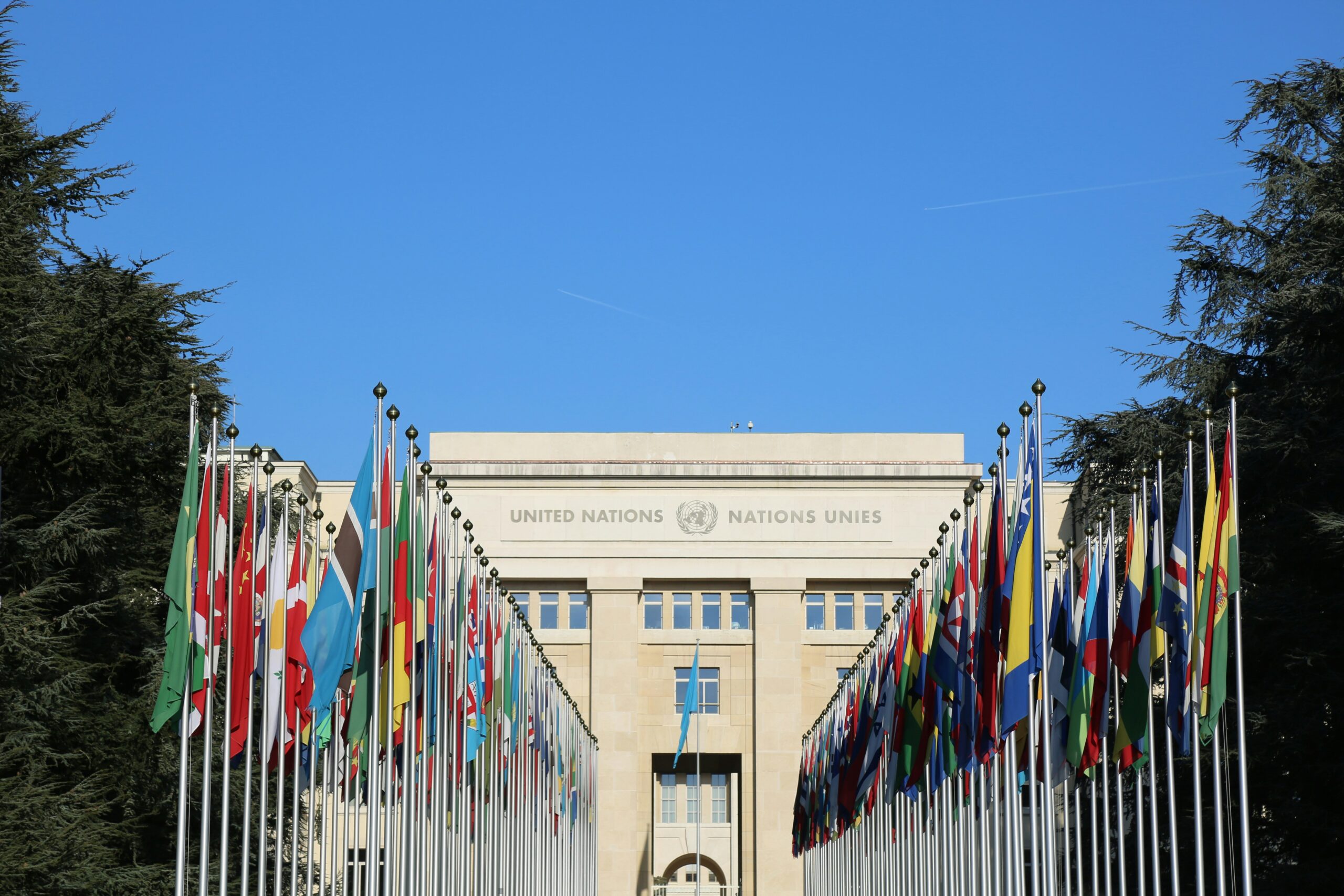 Exterior of the United Nations building with global flags surrounding on both sides.