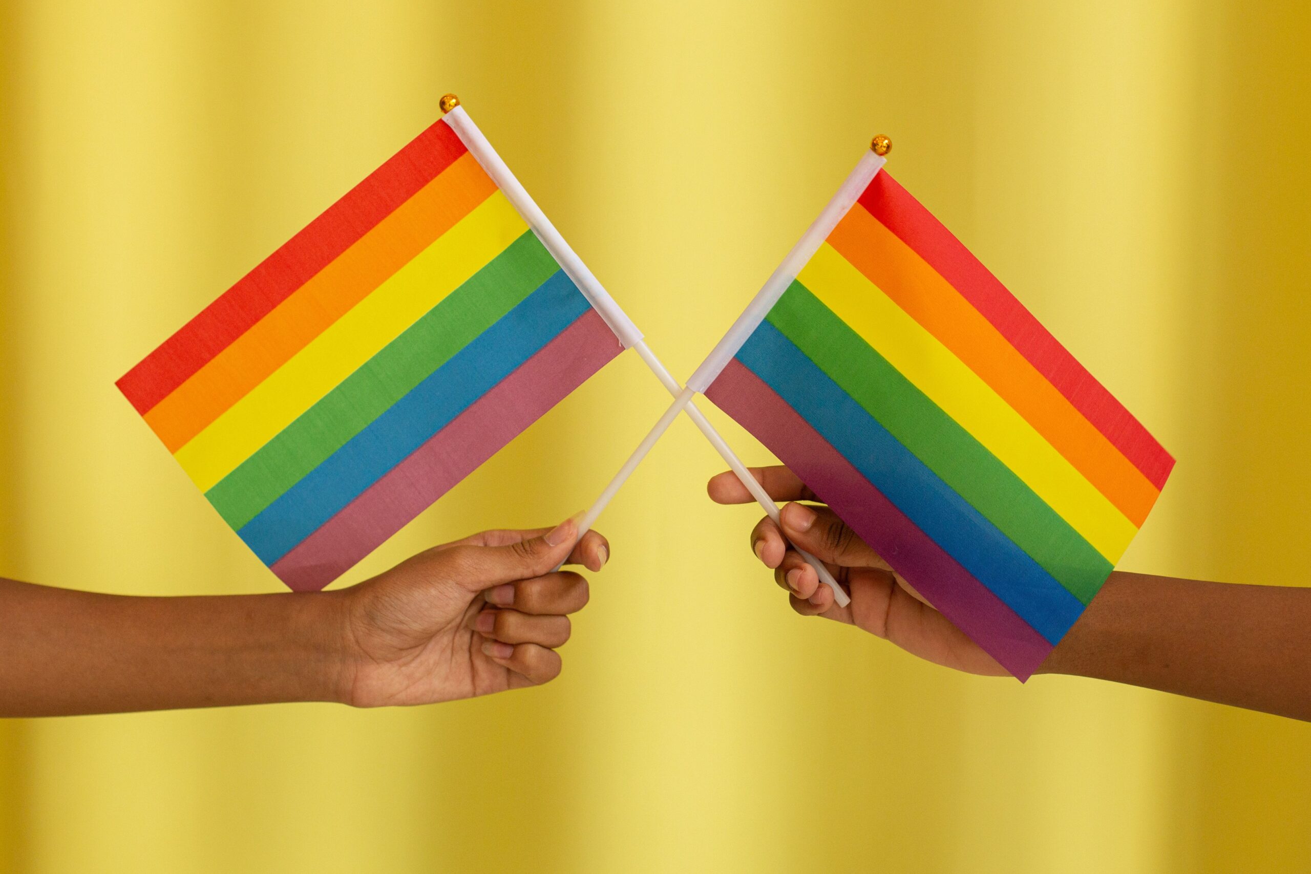Two hands, each holding a small pride flag.